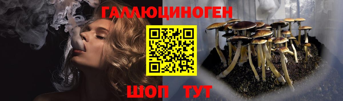 Галлюциногенные грибы Psilocybine cubensis  Вход с VPN  Галлюциногенные грибы прущие грибы  Клинцы 